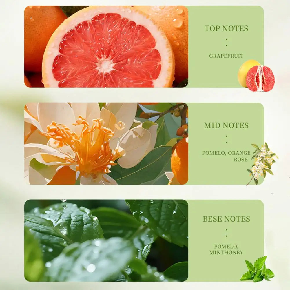 Citrus Soleil — Fresh Grapefruit Eau de Parfum for Women